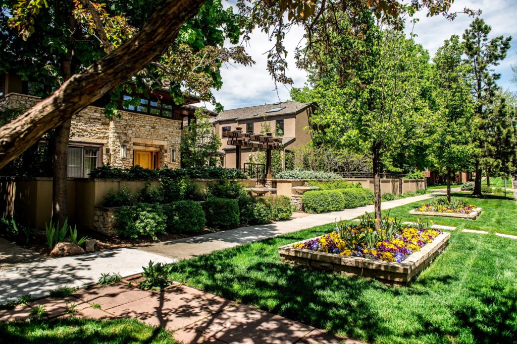 Cherry Creek