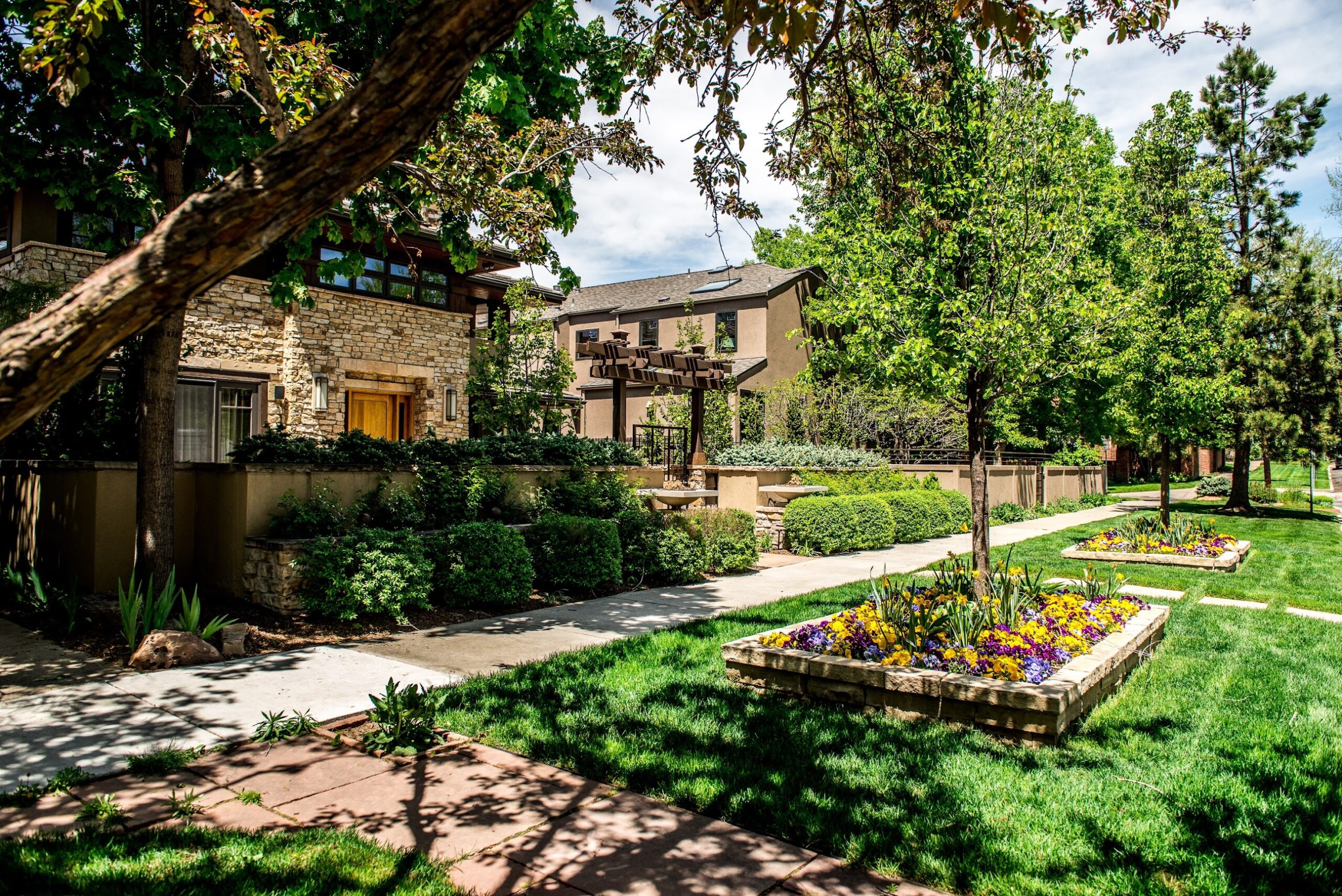 Cherry Creek